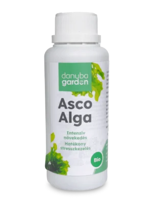 Asco Alga