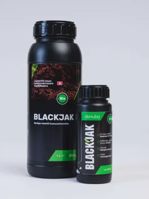 Blackjak